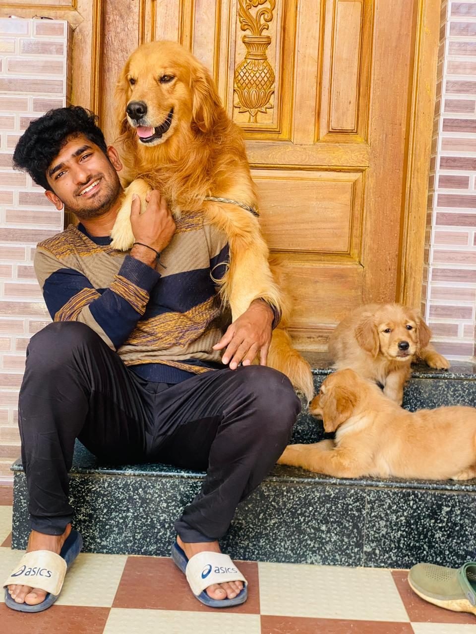 A new owner meeting their Golden Retriever puppy